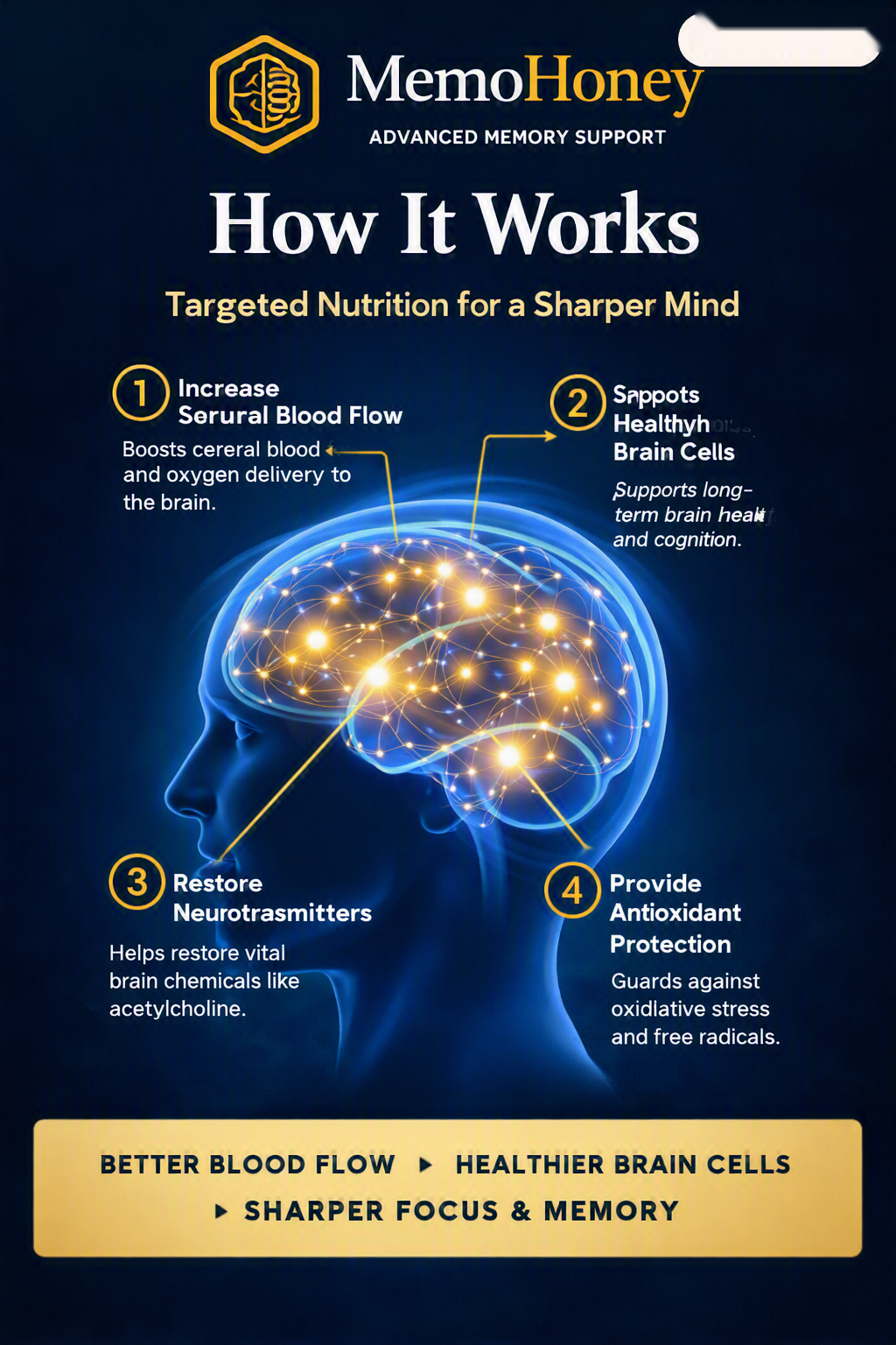 How MemoHoney works — 4 steps to a sharper mind